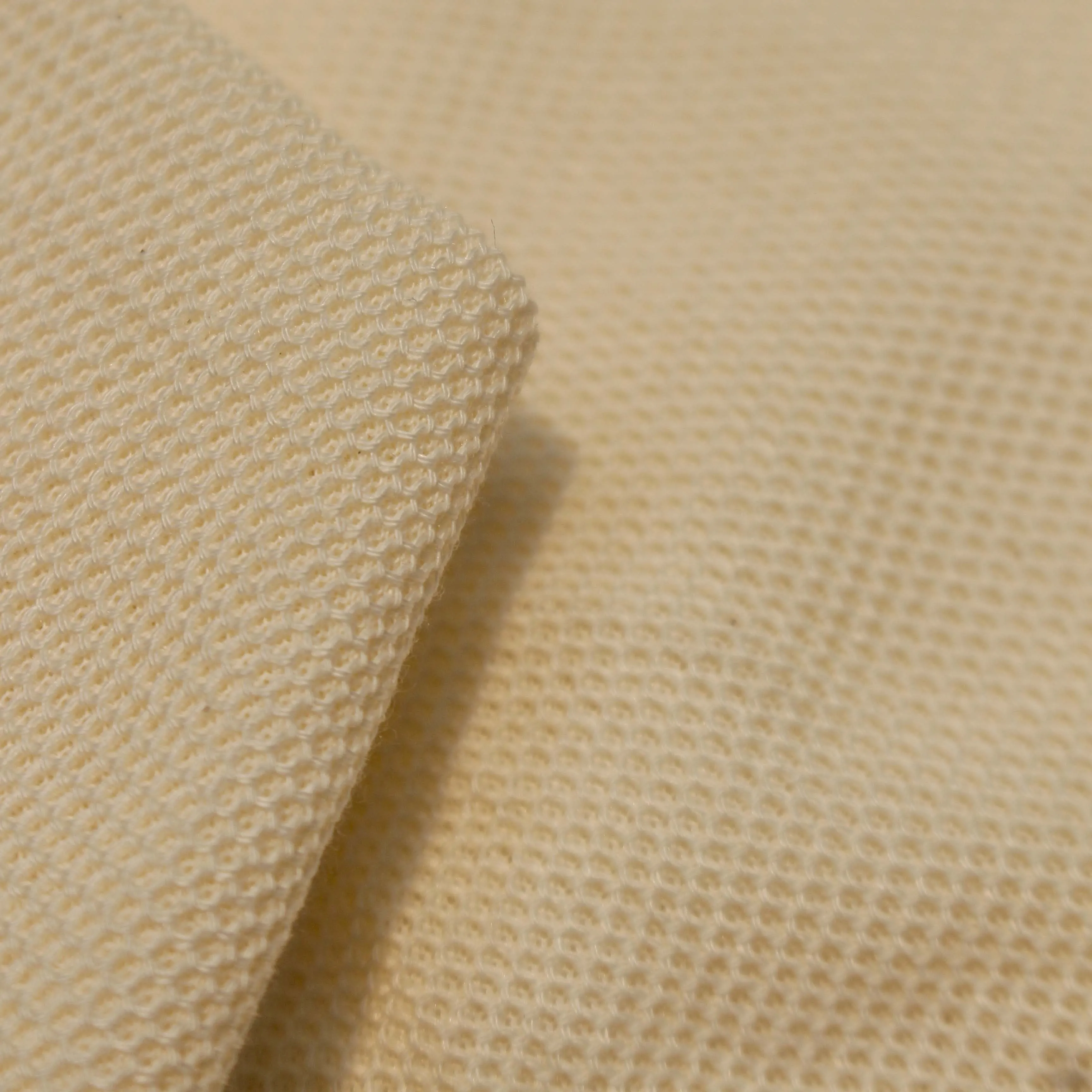 Mộc Cá sấu Mắt Chim